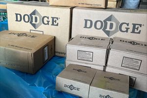 ТД РУНО поставляет подшипниковые узлы компании DODGE (USA) фото